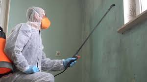 Best Biohazard Mold Removal  in Chester Center, CT